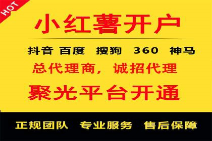 信息流广告投放公司案例策略解析